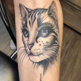 Cat tattoo