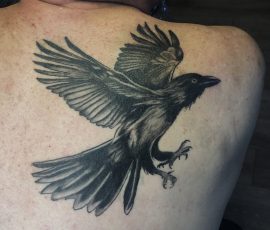 crow tattoo