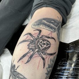 Traditional tattoo of spider
