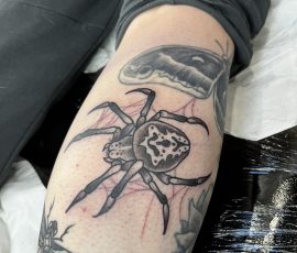 Traditional tattoo of spider