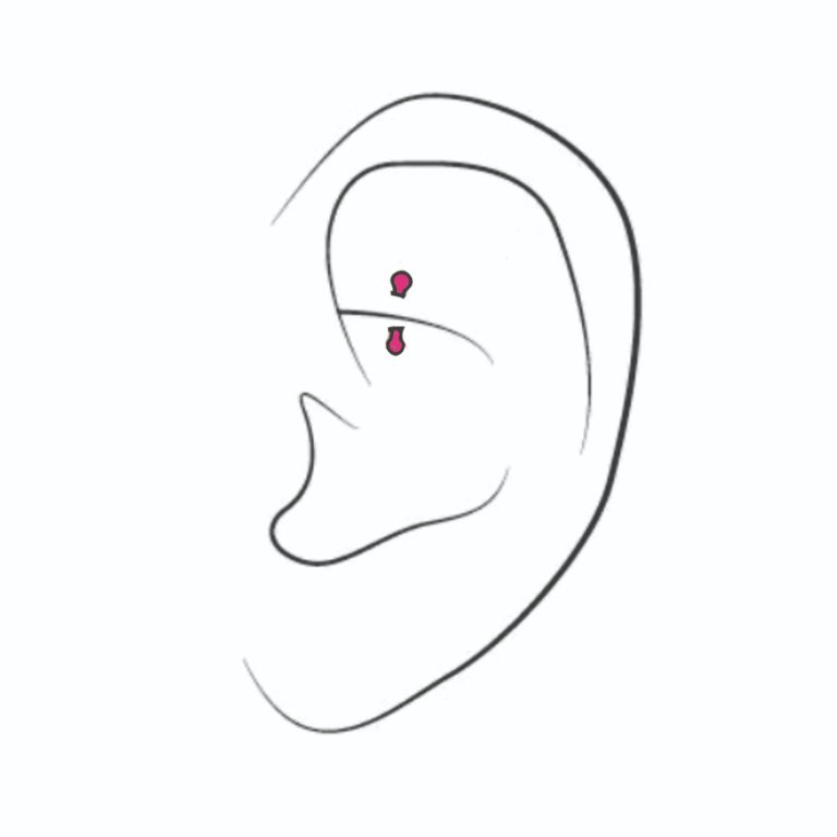  Daith ear piercing chart