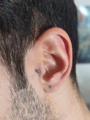 tragus piercing at Tiger and Rose Tattoo