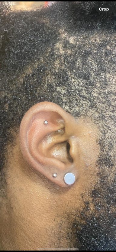 ear piercings done at Tiger and Rose Tattoo