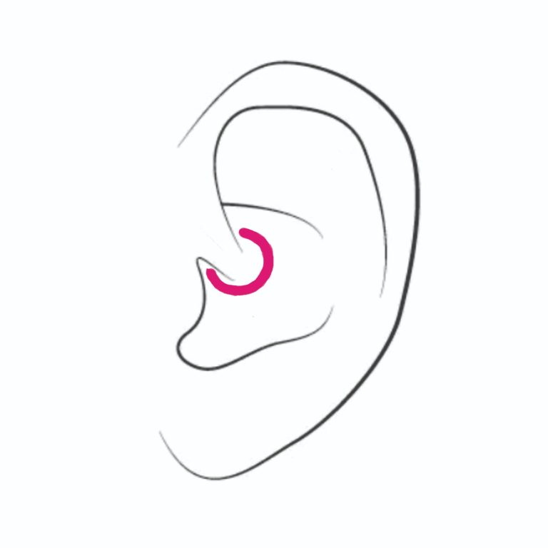  Daith ear piercing chart